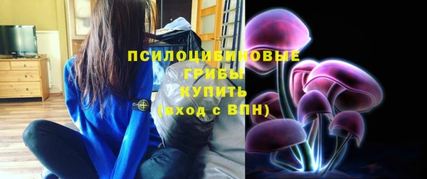 ешки Абинск