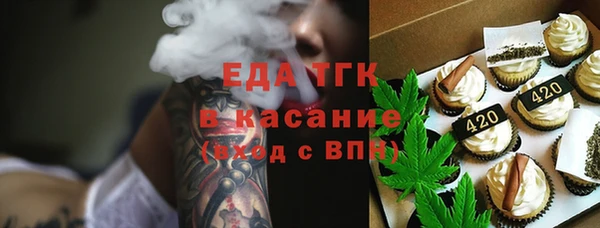 индика Абаза