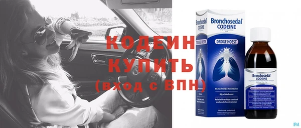 хмурый Алзамай