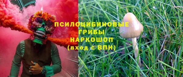 индика Абаза