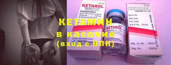 индика Абаза