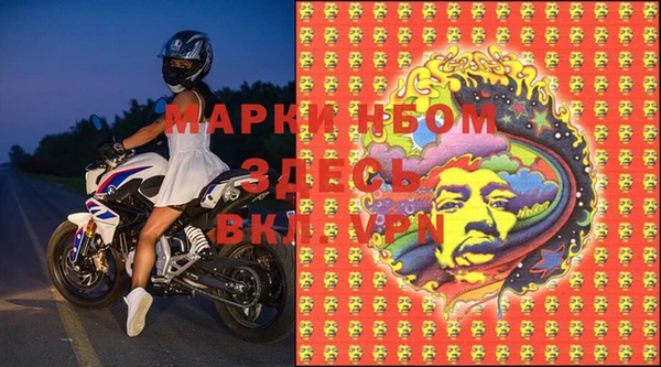 хмурый Алзамай