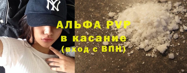 хмурый Алзамай