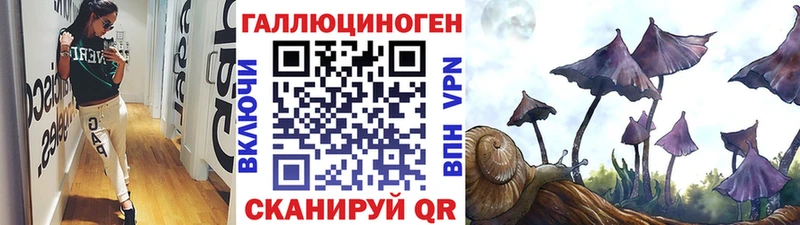 что такое   Белая Калитва  Псилоцибиновые грибы MAGIC MUSHROOMS 